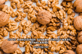 Ceviz Bahçesinde Sulama Sıklığı Nasıl Ayarlanır?