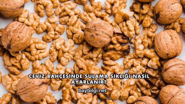 Ceviz Bahçesinde Sulama Sıklığı Nasıl Ayarlanır?