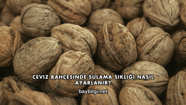 Ceviz Bahçesinde Sulama Sıklığı Nasıl Ayarlanır?