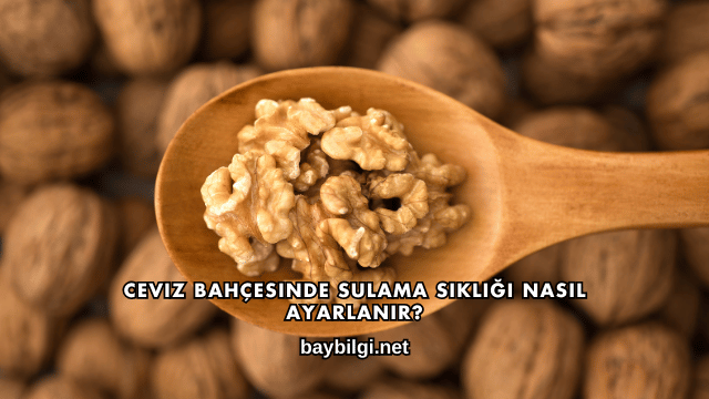 Ceviz Bahçesinde Sulama Sıklığı Nasıl Ayarlanır?