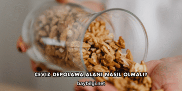 Ceviz Depolama Alanı Nasıl Olmalı?