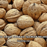 Ceviz Hasat Sonrası İşlemler Nelerdir?