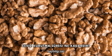Ceviz Kurutma Süresi Ne Kadardır?