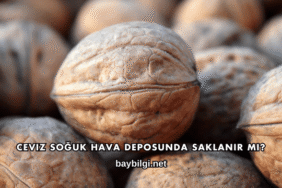 Ceviz Soğuk Hava Deposunda Saklanır mı?