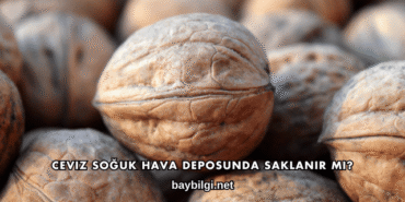 Ceviz Soğuk Hava Deposunda Saklanır mı?