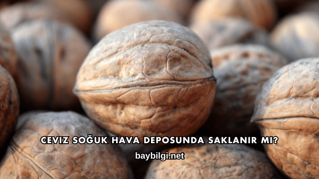 Ceviz Soğuk Hava Deposunda Saklanır mı?