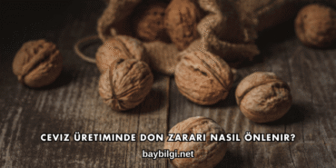 Ceviz Üretiminde Don Zararı Nasıl Önlenir?