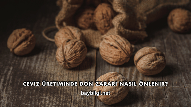 Ceviz Üretiminde Don Zararı Nasıl Önlenir?