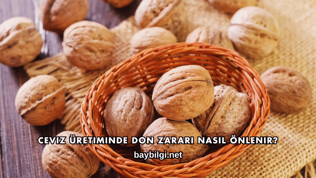 Ceviz Üretiminde Don Zararı Nasıl Önlenir?