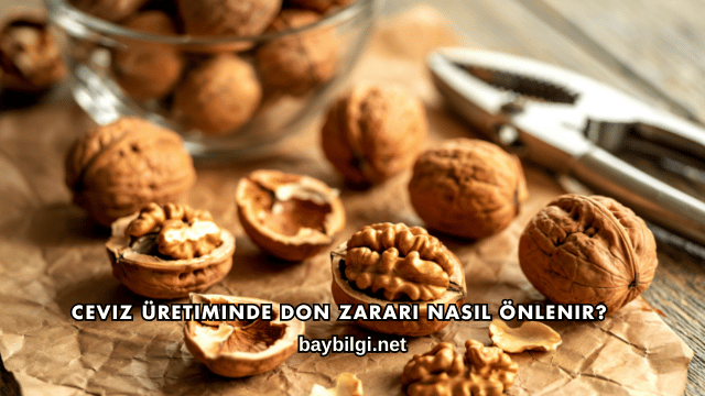 Ceviz Üretiminde Don Zararı Nasıl Önlenir?