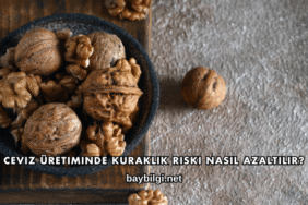 Ceviz Üretiminde Kuraklık Riski Nasıl Azaltılır?