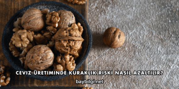 Ceviz Üretiminde Kuraklık Riski Nasıl Azaltılır?