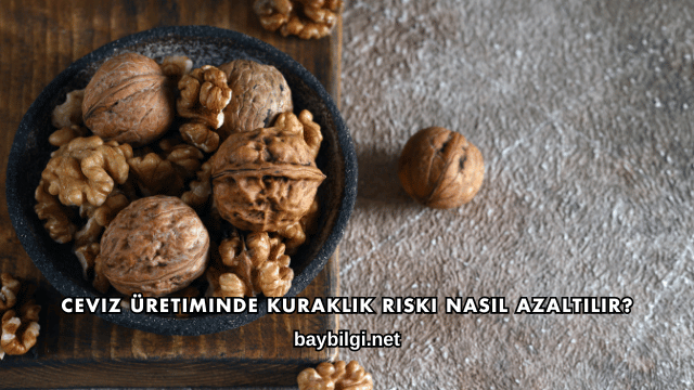 Ceviz Üretiminde Kuraklık Riski Nasıl Azaltılır?