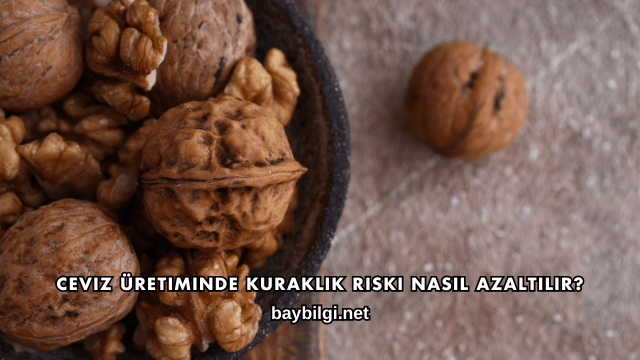 Ceviz Üretiminde Kuraklık Riski Nasıl Azaltılır?