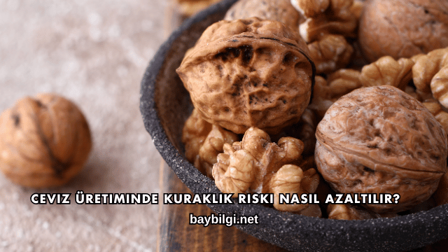 Ceviz Üretiminde Kuraklık Riski Nasıl Azaltılır?