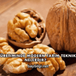 Ceviz Üretiminde Modern Tarım Teknikleri Nelerdir?