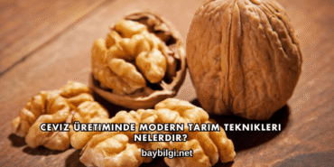 Ceviz Üretiminde Modern Tarım Teknikleri Nelerdir?
