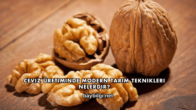 Ceviz Üretiminde Modern Tarım Teknikleri Nelerdir?