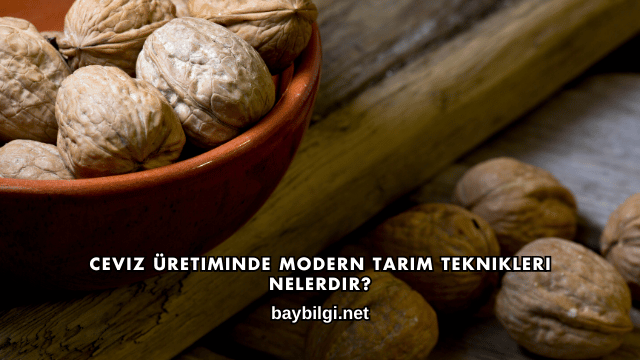 Ceviz Üretiminde Modern Tarım Teknikleri Nelerdir?