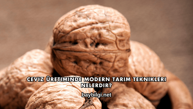 Ceviz Üretiminde Modern Tarım Teknikleri Nelerdir?