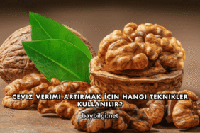 Ceviz Verimi Artırmak İçin Hangi Teknikler Kullanılır?