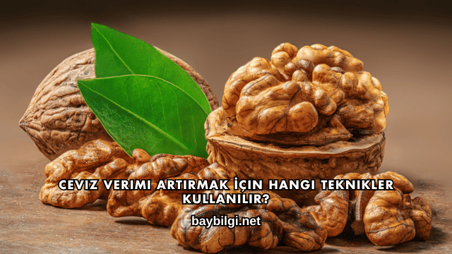 Ceviz Verimi Artırmak İçin Hangi Teknikler Kullanılır?