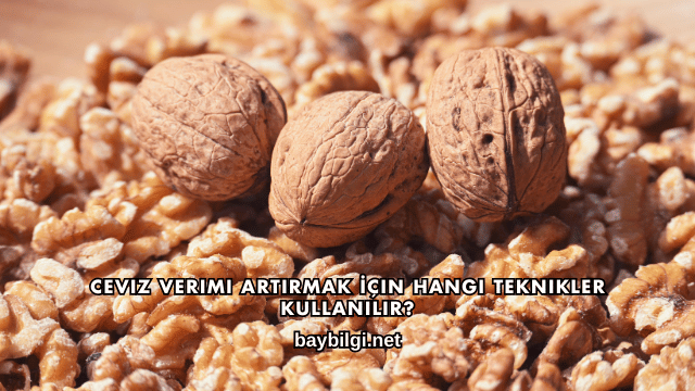 Ceviz Verimi Artırmak İçin Hangi Teknikler Kullanılır?