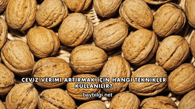 Ceviz Verimi Artırmak İçin Hangi Teknikler Kullanılır?