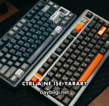 Ctrl A Ne İşe Yarar?
