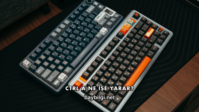 Ctrl A Ne İşe Yarar?
