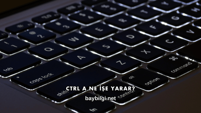 Ctrl A Ne İşe Yarar?