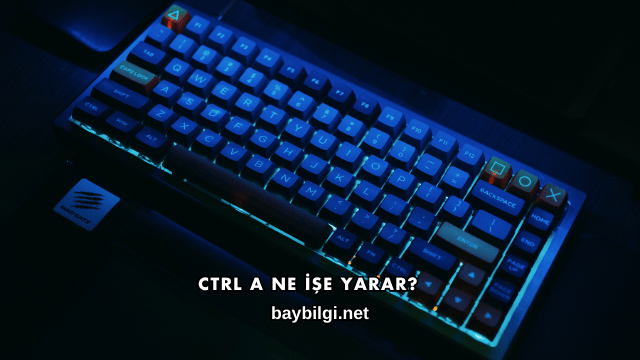 Ctrl A Ne İşe Yarar?
