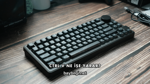 Ctrl V Ne İşe Yarar?