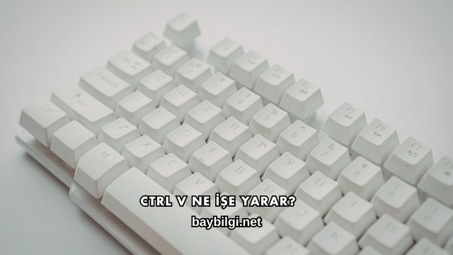 Ctrl V Ne İşe Yarar?
