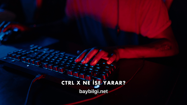 Ctrl X Ne İşe Yarar?