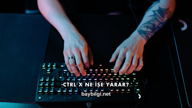 Ctrl X Ne İşe Yarar?