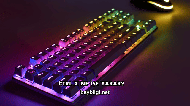 Ctrl X Ne İşe Yarar?