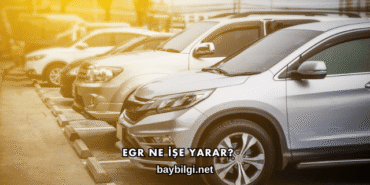 EGR Ne İşe Yarar?