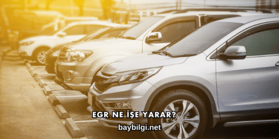 EGR Ne İşe Yarar?