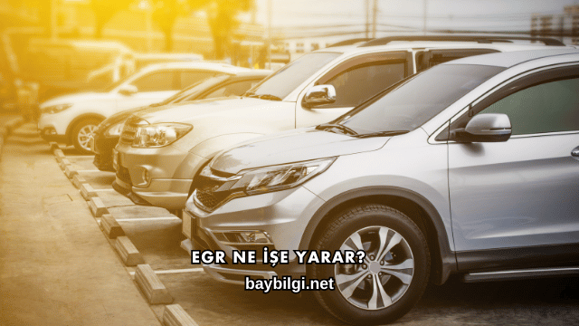 EGR Ne İşe Yarar?