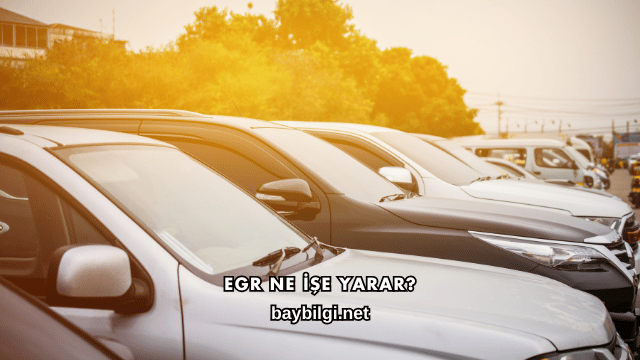 EGR Ne İşe Yarar?