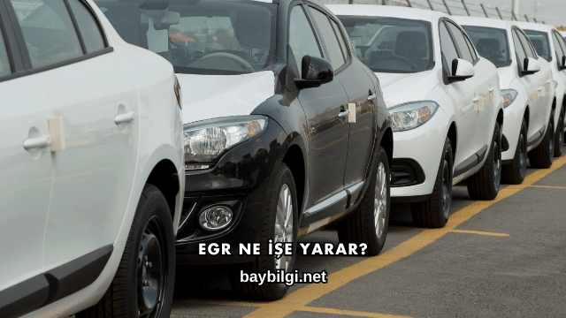 EGR Ne İşe Yarar?