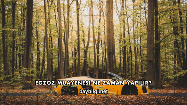 Egzoz Muayenesi Ne Zaman Yapılır?