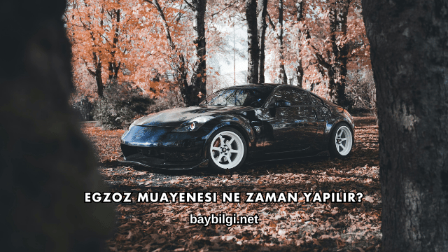 Egzoz Muayenesi Ne Zaman Yapılır?