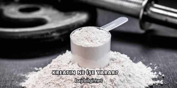 Kreatin Ne İşe Yarar?