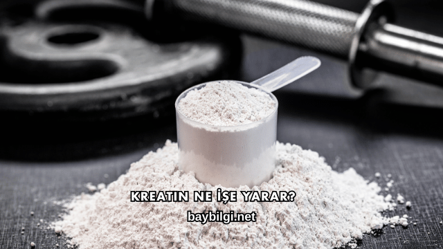 Kreatin Ne İşe Yarar?