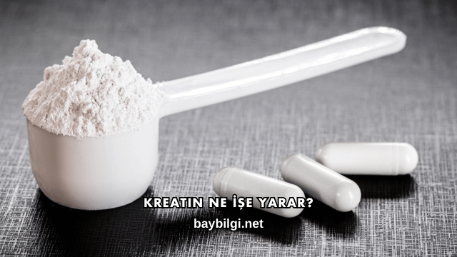 Kreatin Ne İşe Yarar?