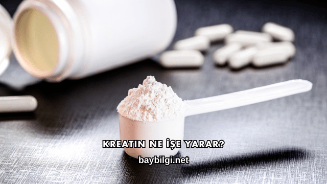 Kreatin Ne İşe Yarar?