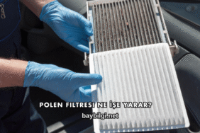 Polen Filtresi Ne İşe Yarar?