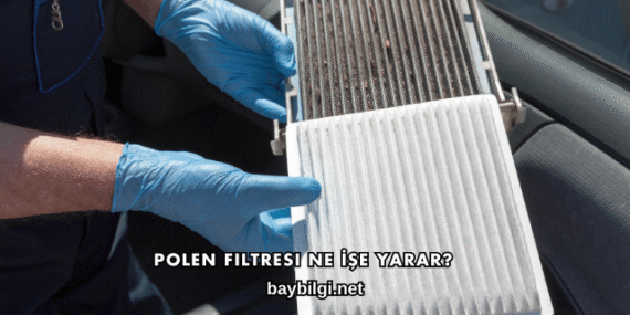 Polen Filtresi Ne İşe Yarar?